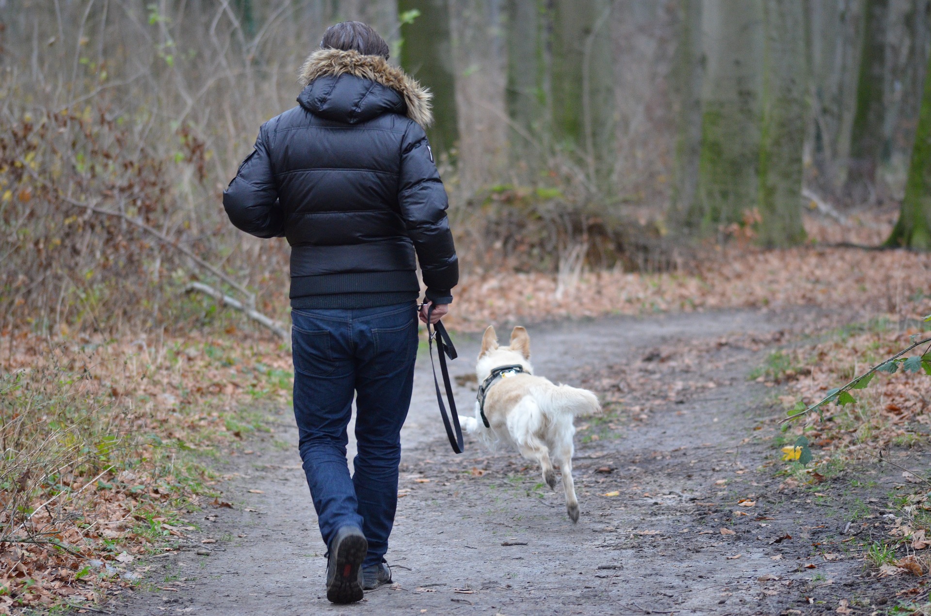 A man and his dog are seen walking on a trail,