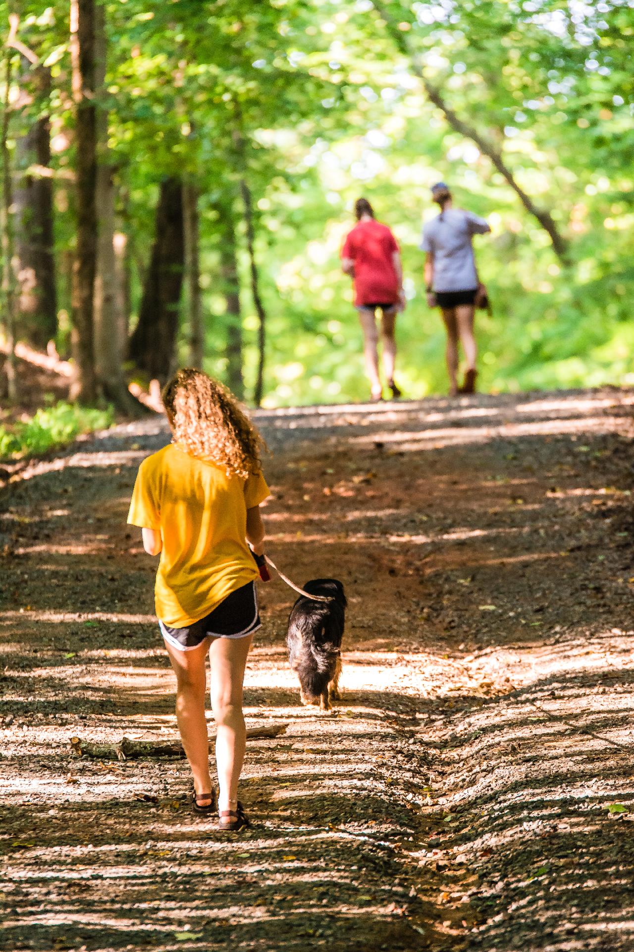 Pets Safe During the Hot Summer